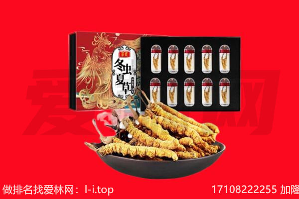 营口市回收虫草.jpg
